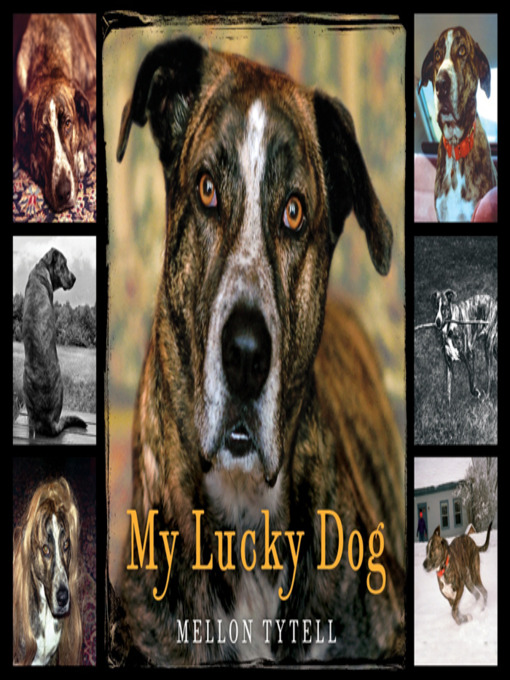 Title details for My Lucky Dog by Mellon Tytell - Available